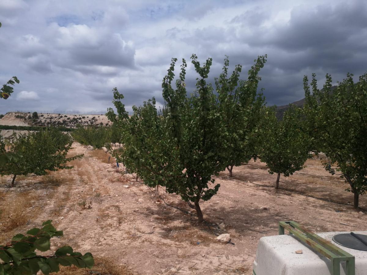 22-08-2019_IMG-20190821-WA0015 - copia.jpg